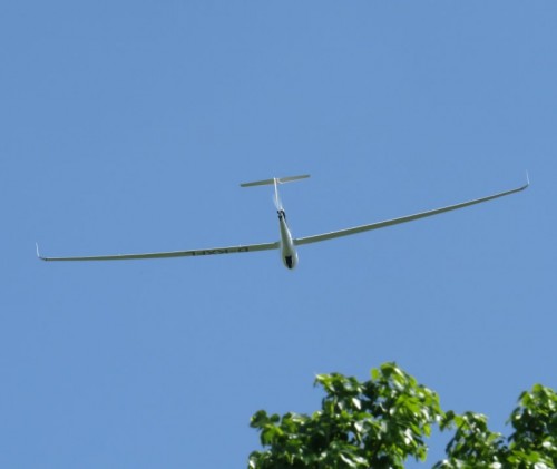 Glider-D-KXFL-03