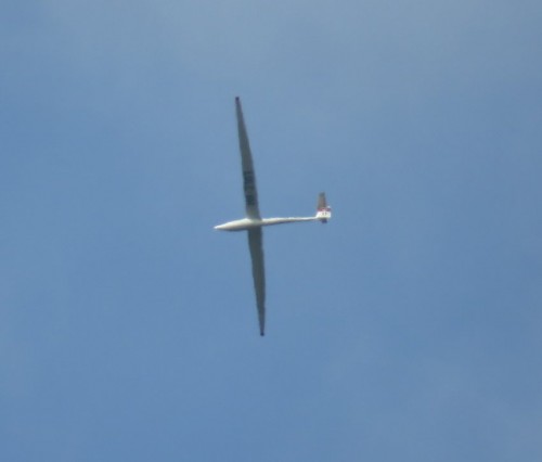 Glider-HB-2101-02