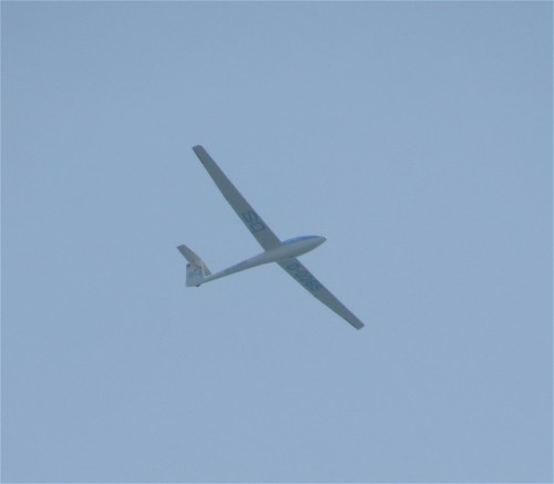 Glider - D-0385-02