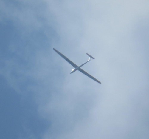 Glider - D-0816-02
