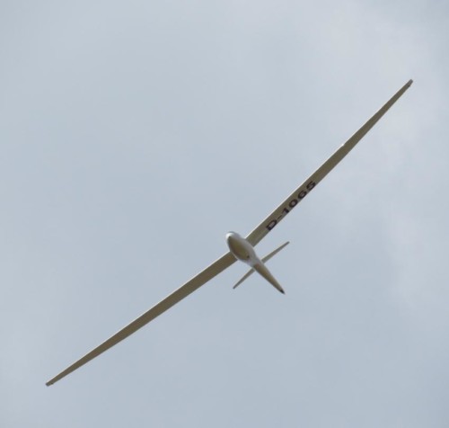 Glider - D-1065-03