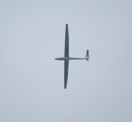 Glider - D-1072-03