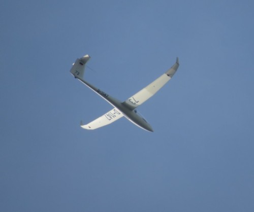 Glider - D-1147-02