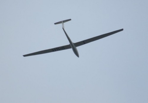 Glider - D-1445-01