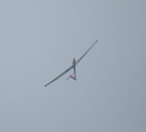 Glider - D-1509-02