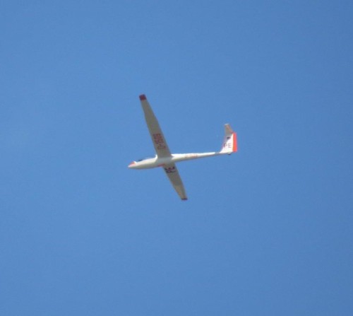 Glider - D-1509-03