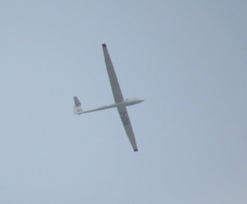 Glider - D-2246-02