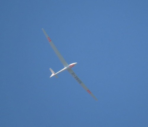 Glider - D-2605-01