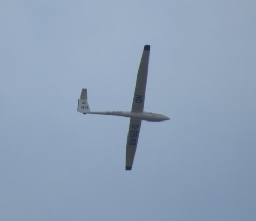 Glider - D-2648-02