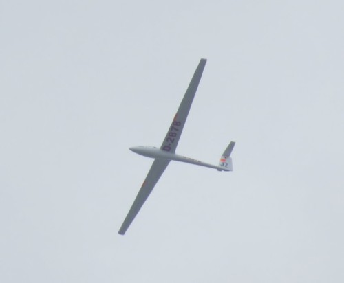 Glider - D-2878-03