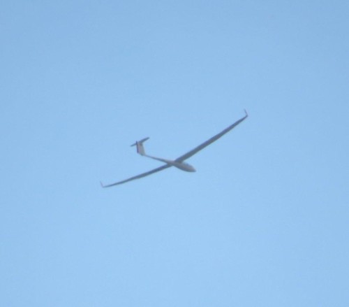 Glider - D-2933-01