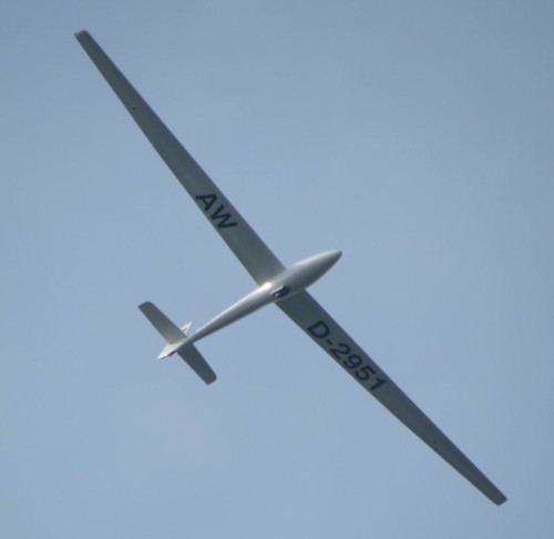 Glider - D-2951-05