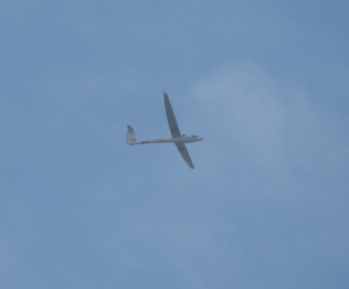 Glider - D-3394-01