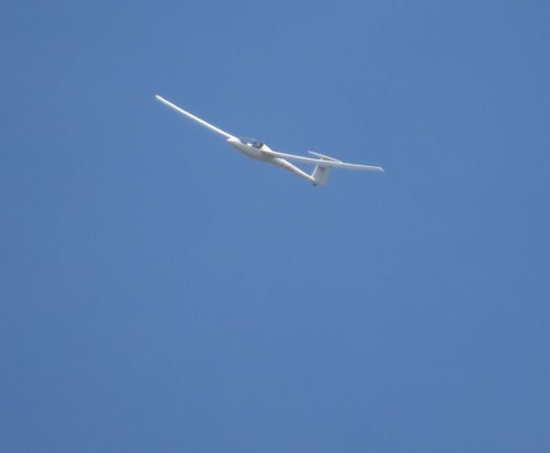 Glider - D-3403-01