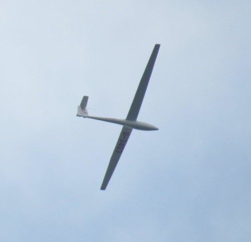 Glider - D-3403-04
