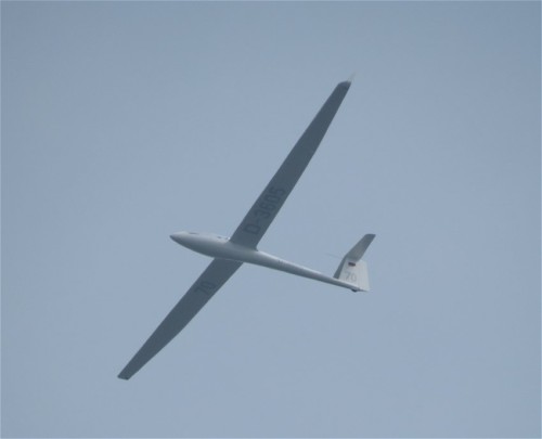 Glider - D-3605-02