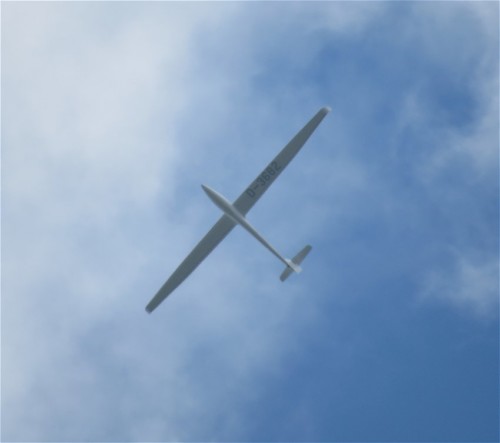 Glider - D-3682-02
