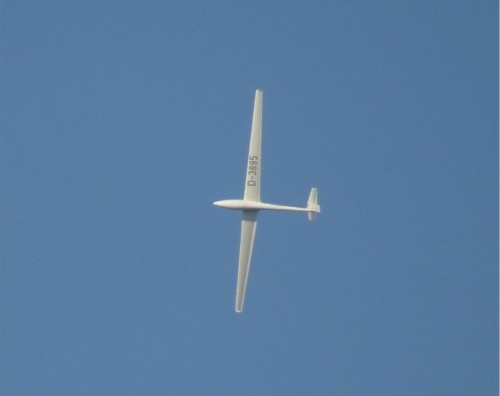 Glider - D-3895-01