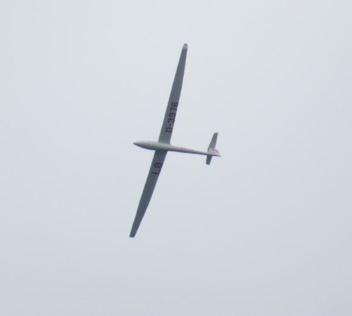 Glider - D-3976-02