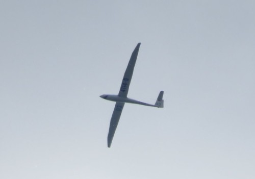 Glider - D-4114-01