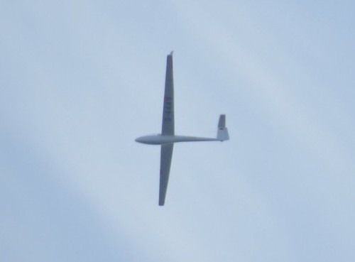 Glider - D-4449-01