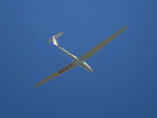 Glider - D-4543-01