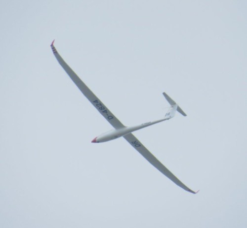 Glider - D-4824-03