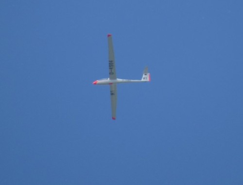 Glider - D-4984-01