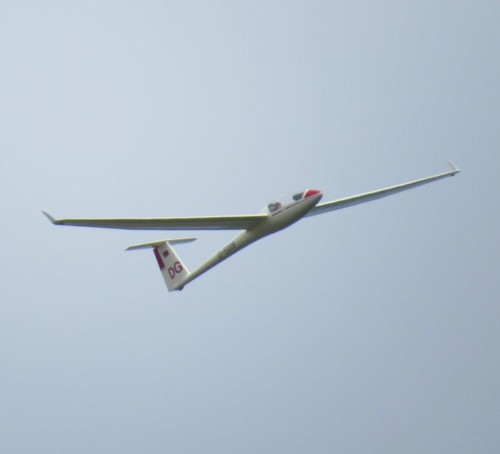 Glider - D-5008-05