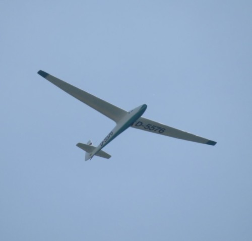 Glider - D-5576-02