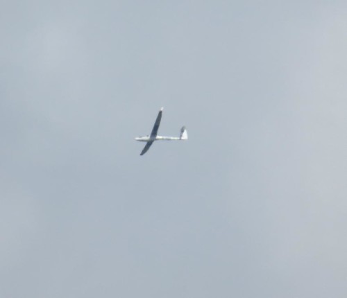 Glider - D-7488-01