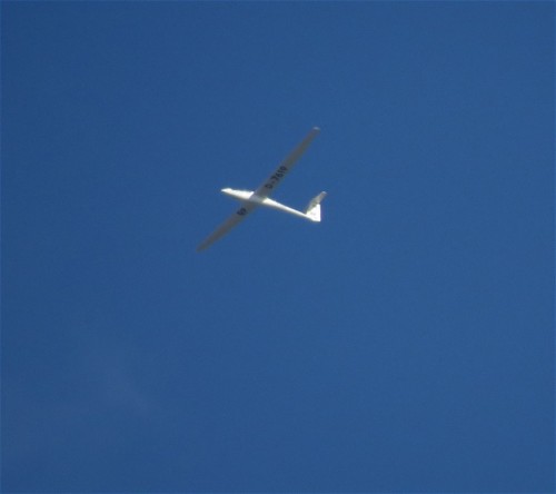 Glider - D-7619-01