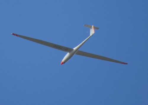 Glider - D-7650-01
