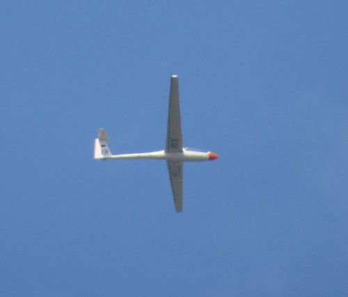 Glider - D-7734-03