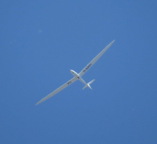 Glider - D-8291-05