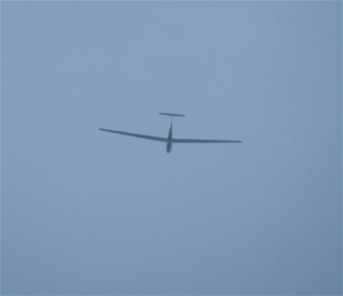 Glider - D-8677-02