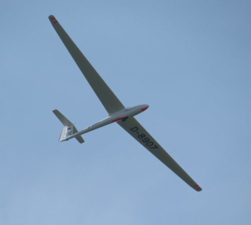 Glider - D-8907-02