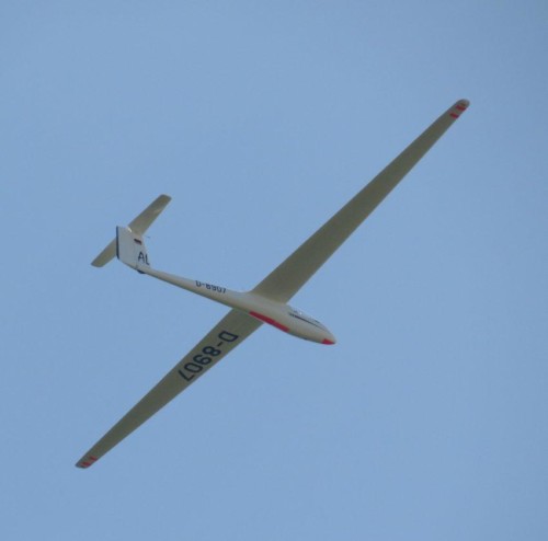 Glider - D-8907-03