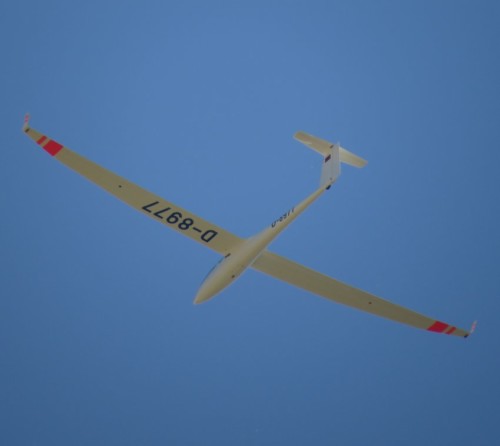 Glider - D-8977-05