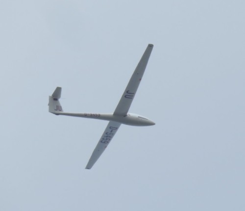 Glider - D-9459-03