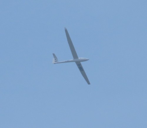 Glider - D-9801XB-01