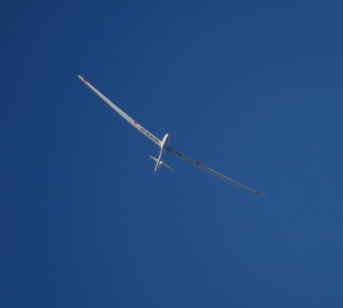 Glider - D-KAIM-02