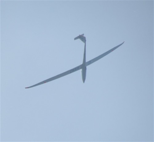 Glider - D-KALT-01
