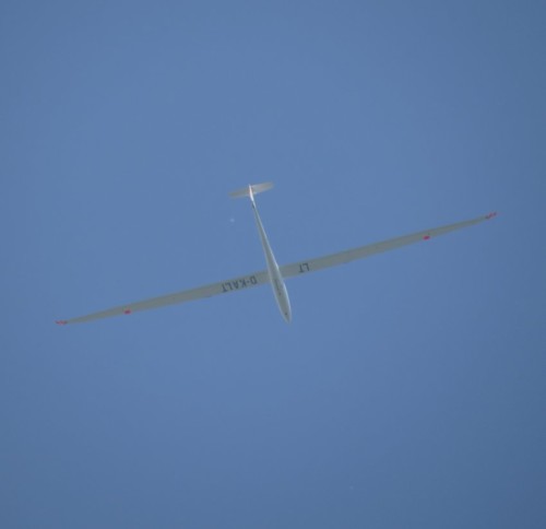 Glider - D-KALT-03