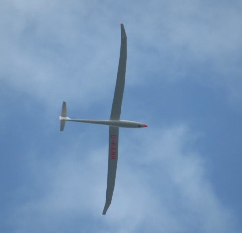 Glider - D-KANN-02