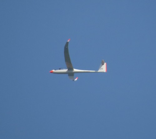 Glider - D-KARX-01