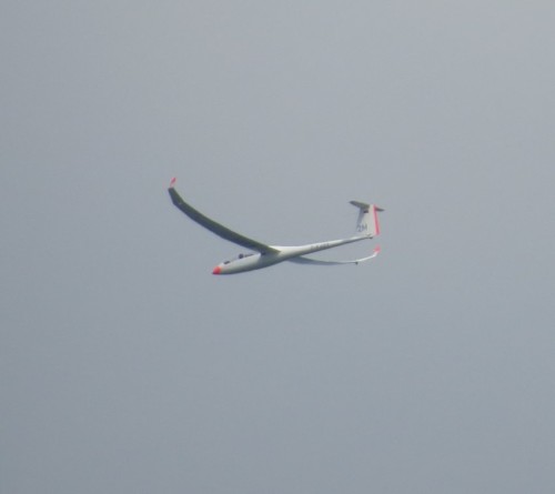 Glider - D-KARX-02