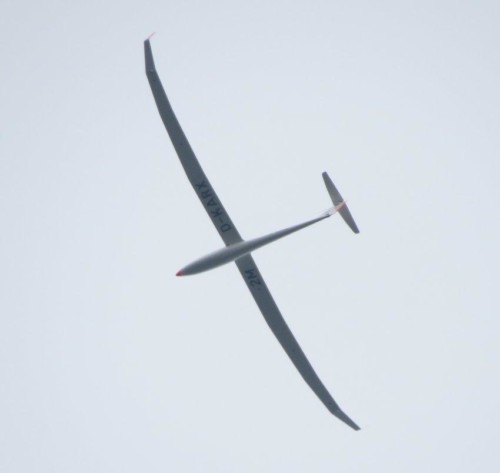 Glider - D-KARX-03