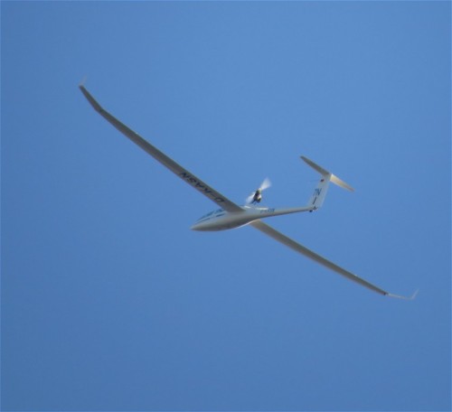 Glider - D-KASN-02