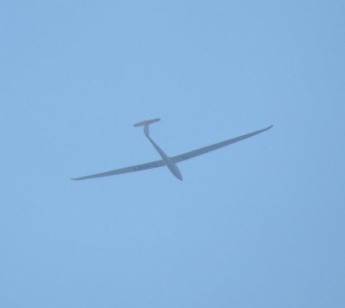 Glider - D-KBFX-02